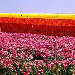 《破败王者：英雄联盟传奇》Steam现已发售 获特别好评